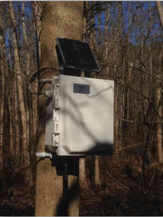 SeniMax Data logger / Gateway attached to a tree