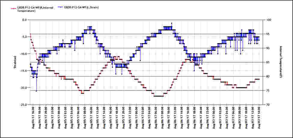 Strain data in the SenScope Software