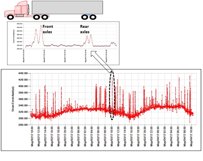Strain data in the SenScope Software